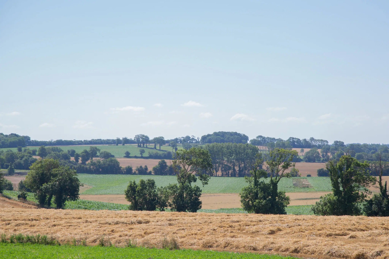 Photo de l'article